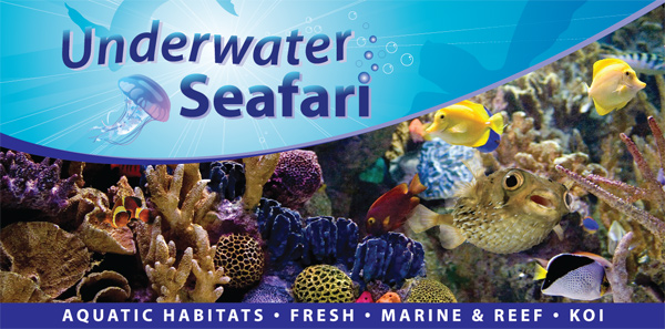 Underwater Seafari